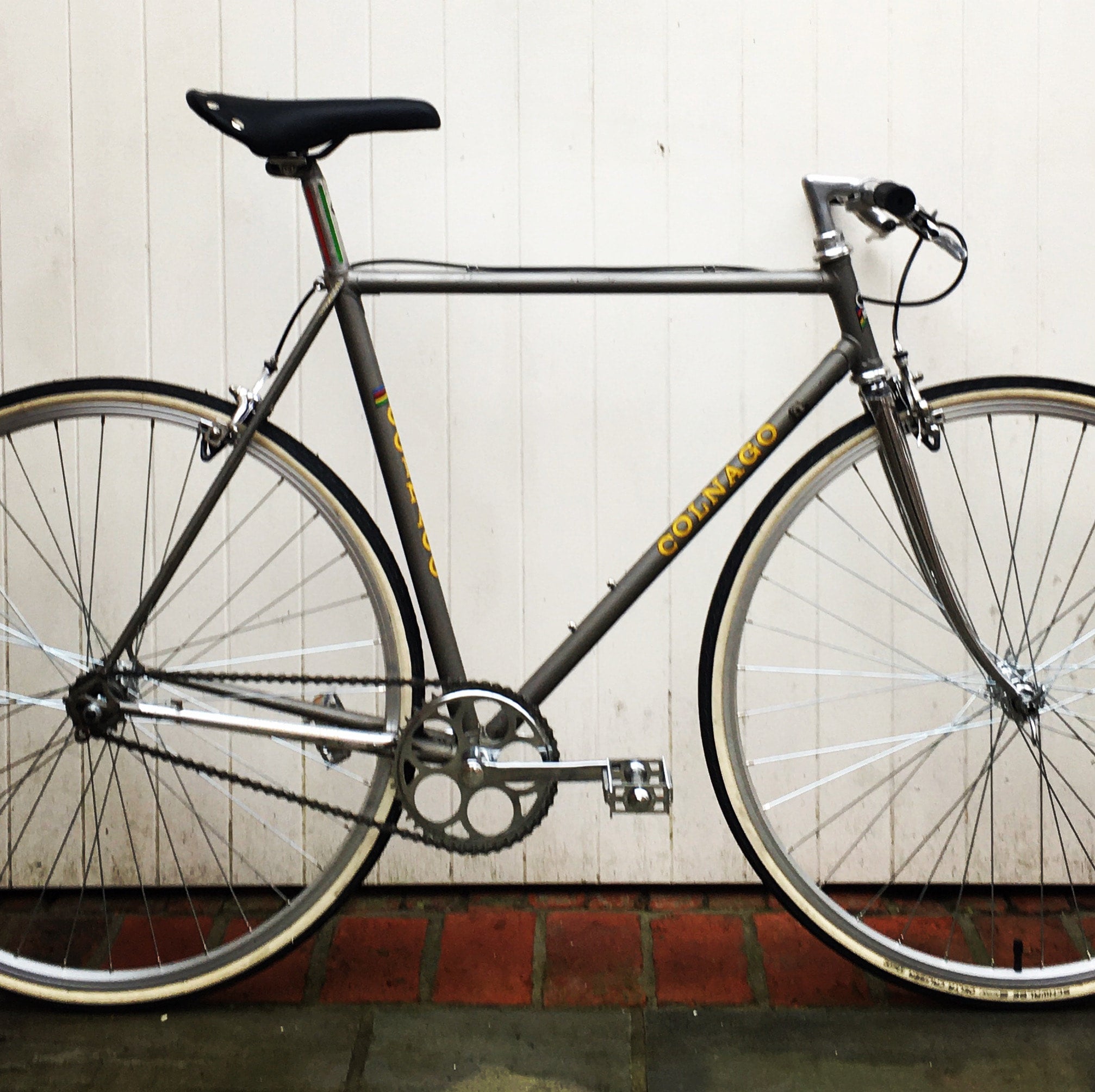 Colnago hot sale single speed
