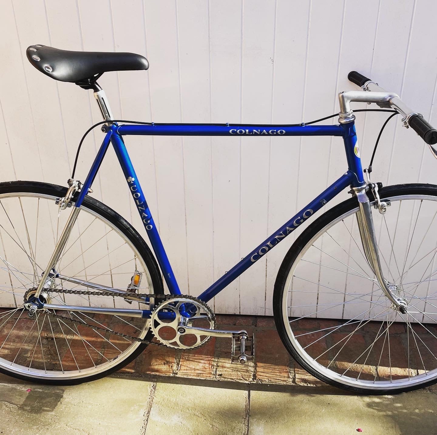 Pinarello single speed outlet