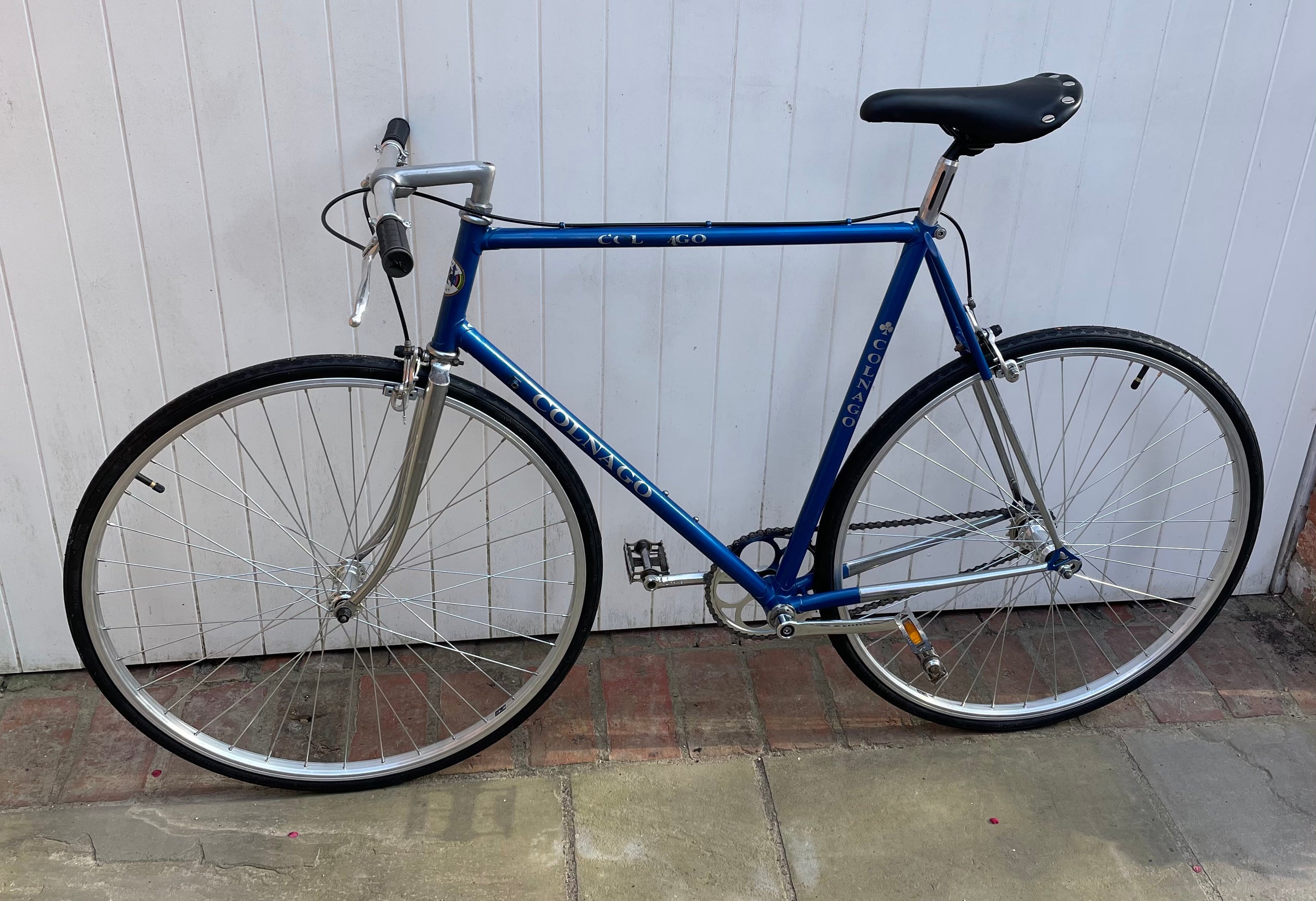 Colnago Sport VINTAGE SINGLE SPEED
